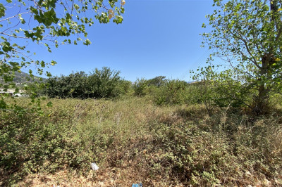 Vasiliki Land w High Buildability 02.jpg